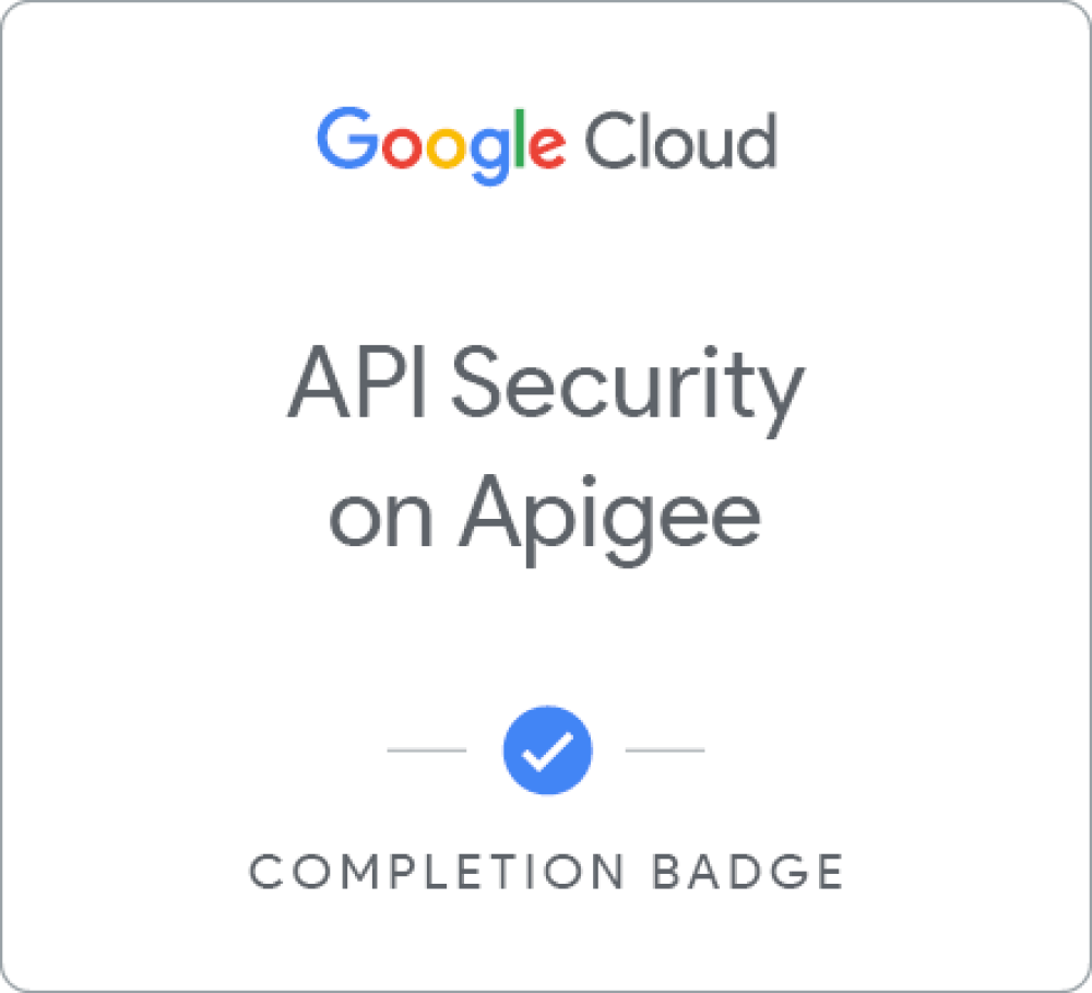 Api Security With the Apigee Api Platform