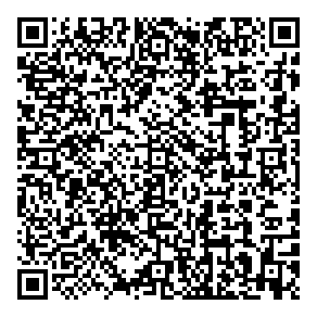 QR code de l'article
