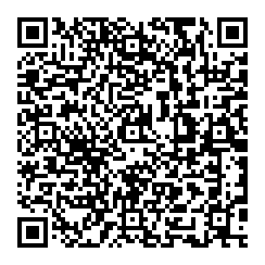 QR code de l'article