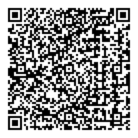 QR code de l'article