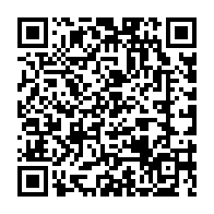 QR code de l'article